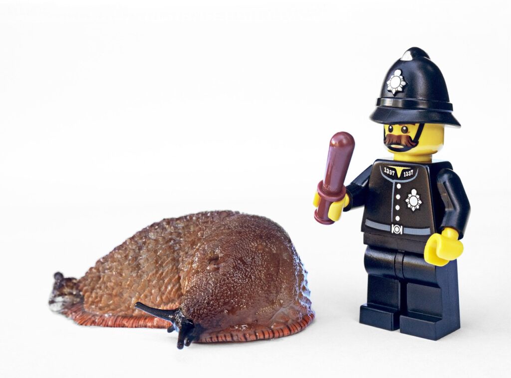 Rat Exterminator Solutions for Effective Rodent Control
